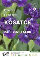 Pozvánka z Průhonického parku: Provázení po sbírkách botanické zahrady – kosatce 1